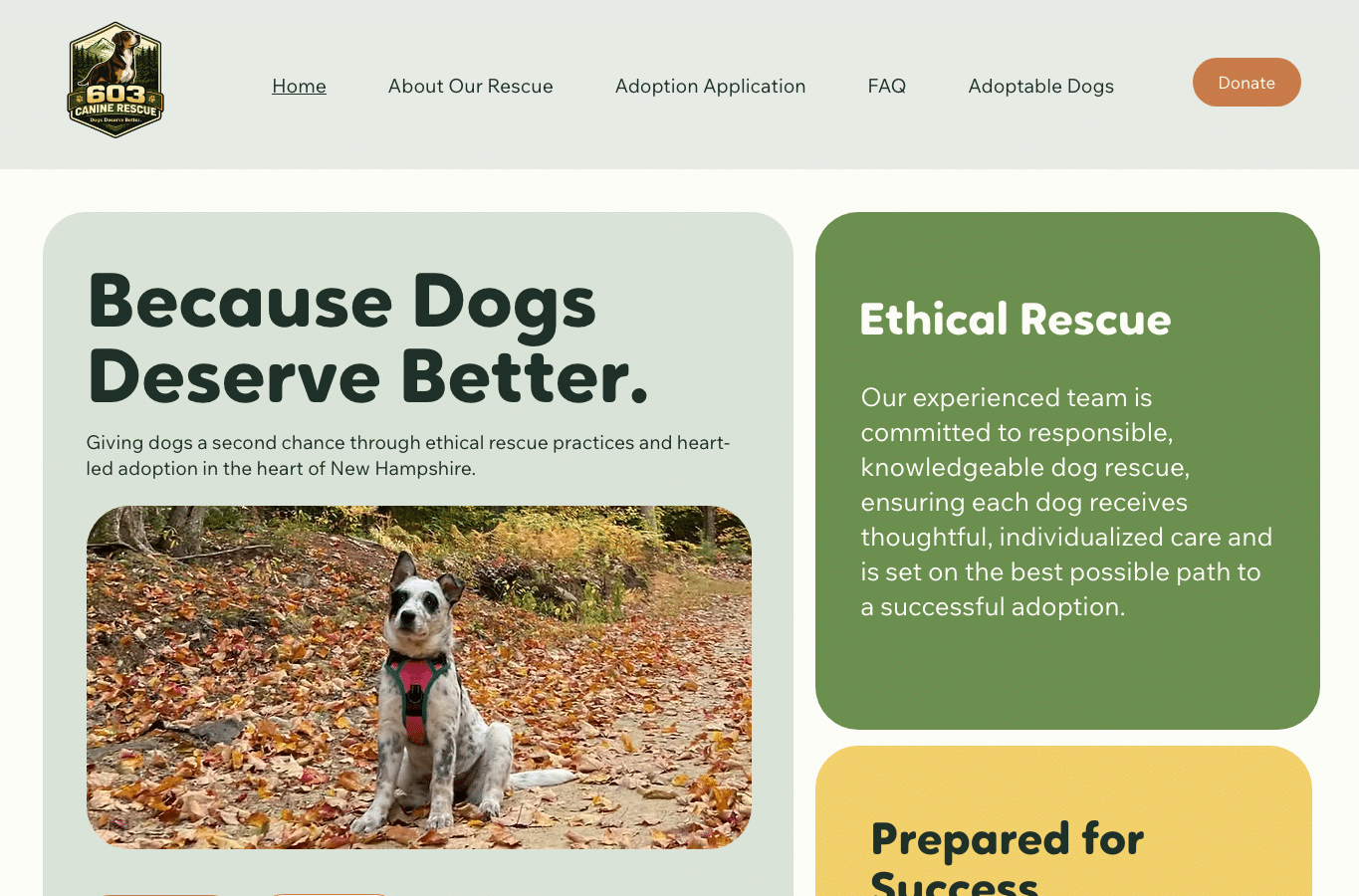 Screenshot preview of 603caninerescue.org
