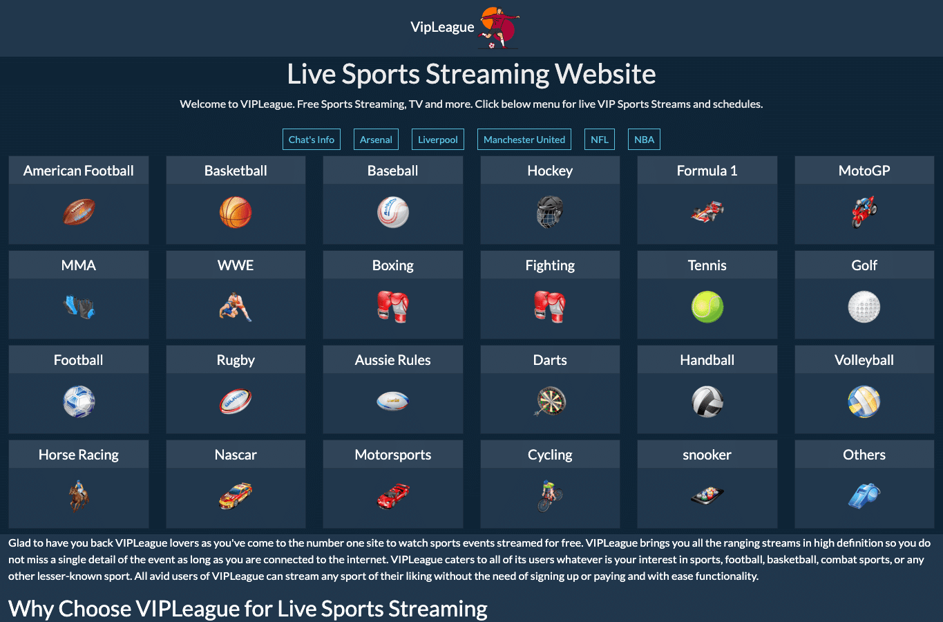Screenshot preview of vipleague.ws