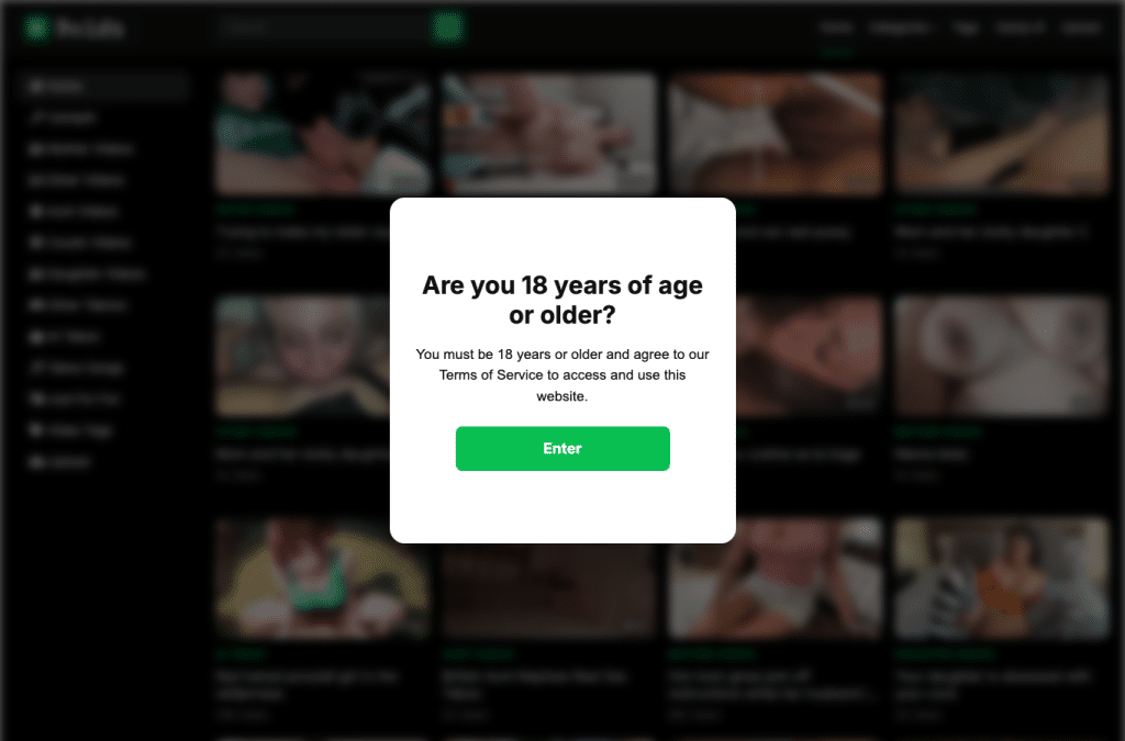 9vids.com homepage screenshot