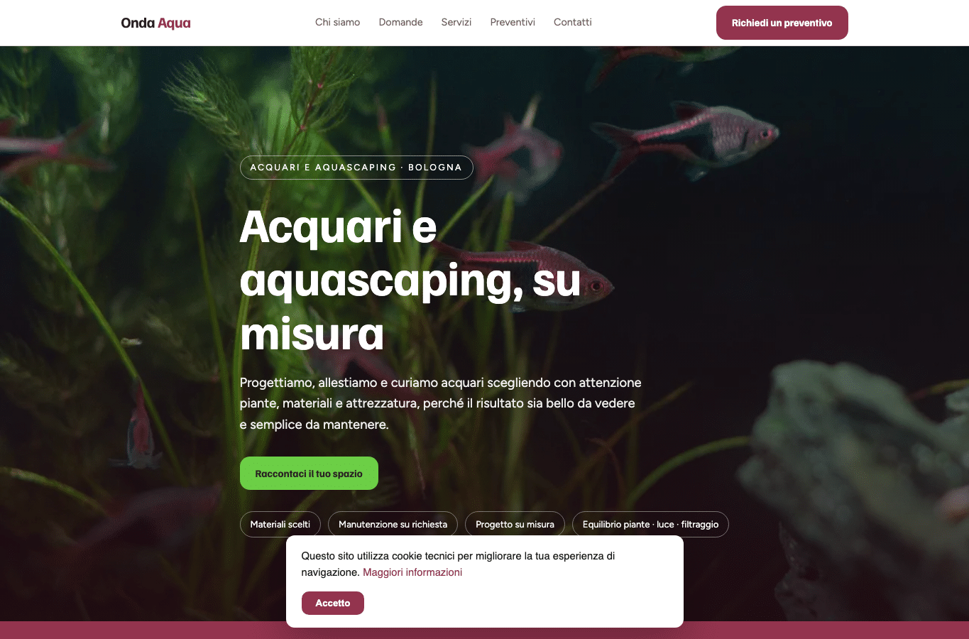 Screenshot preview of acquariit.pro