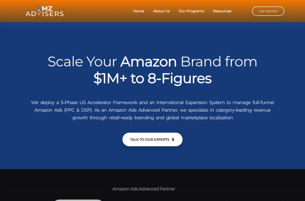 amzadvisersamazonai.info homepage screenshot