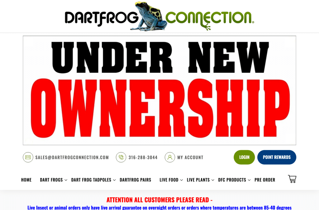 dartfrogconnection.com homepage screenshot