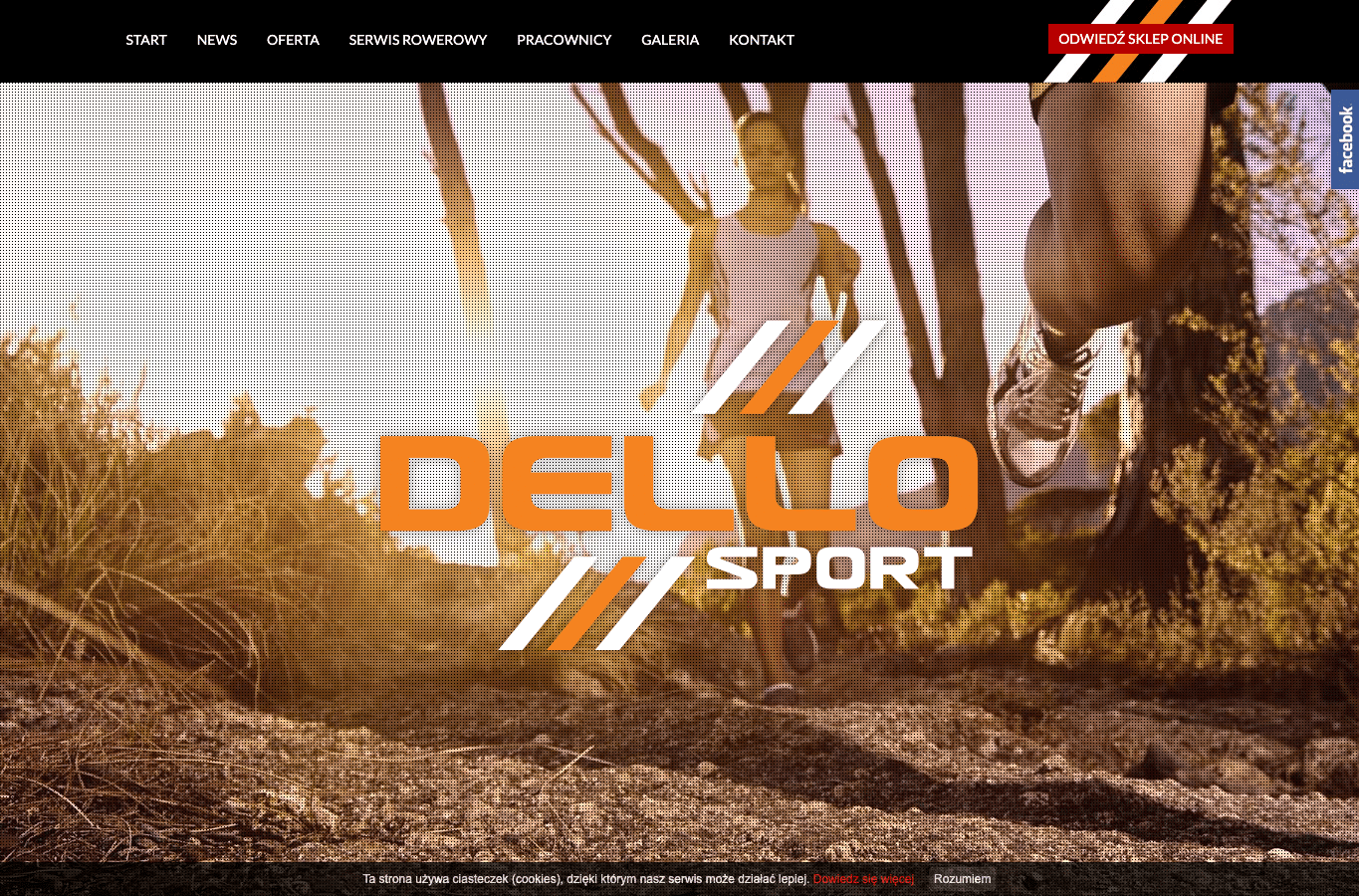 Screenshot preview of dellosport.pl