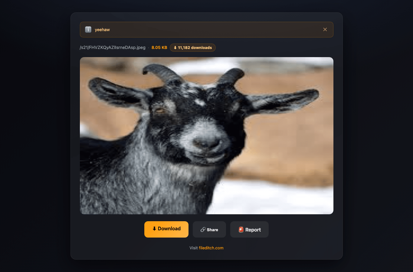 Screenshot preview of fileditchfiles.me