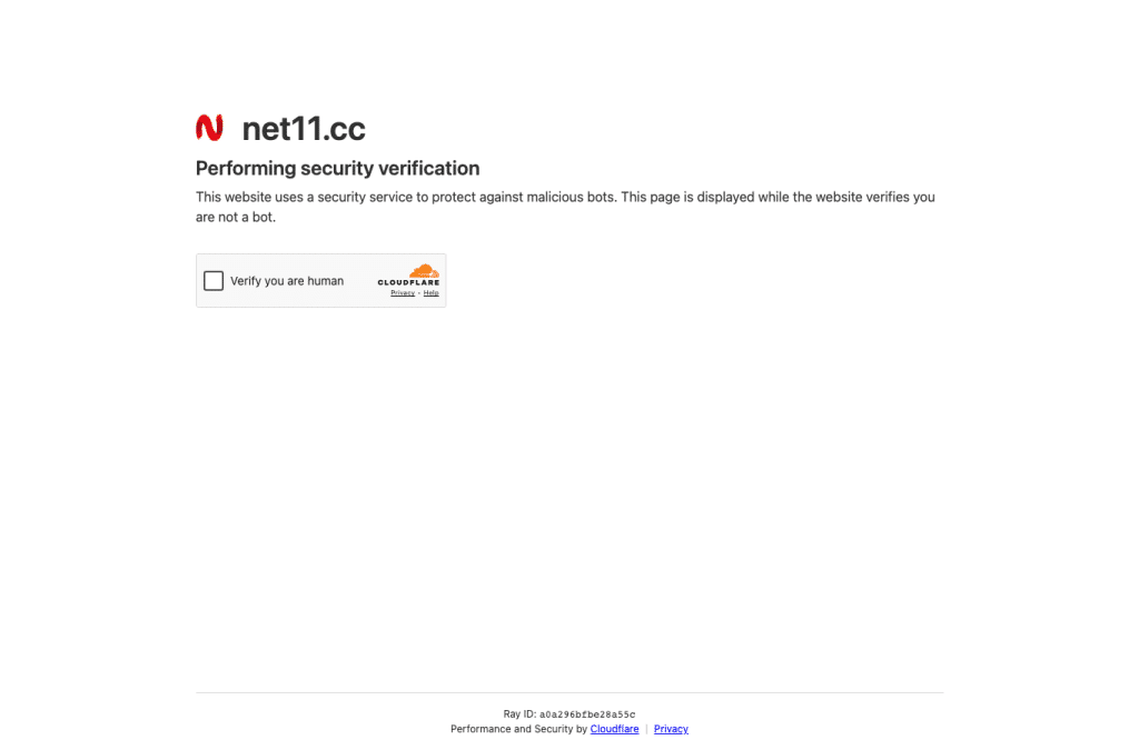 net11.cc homepage screenshot