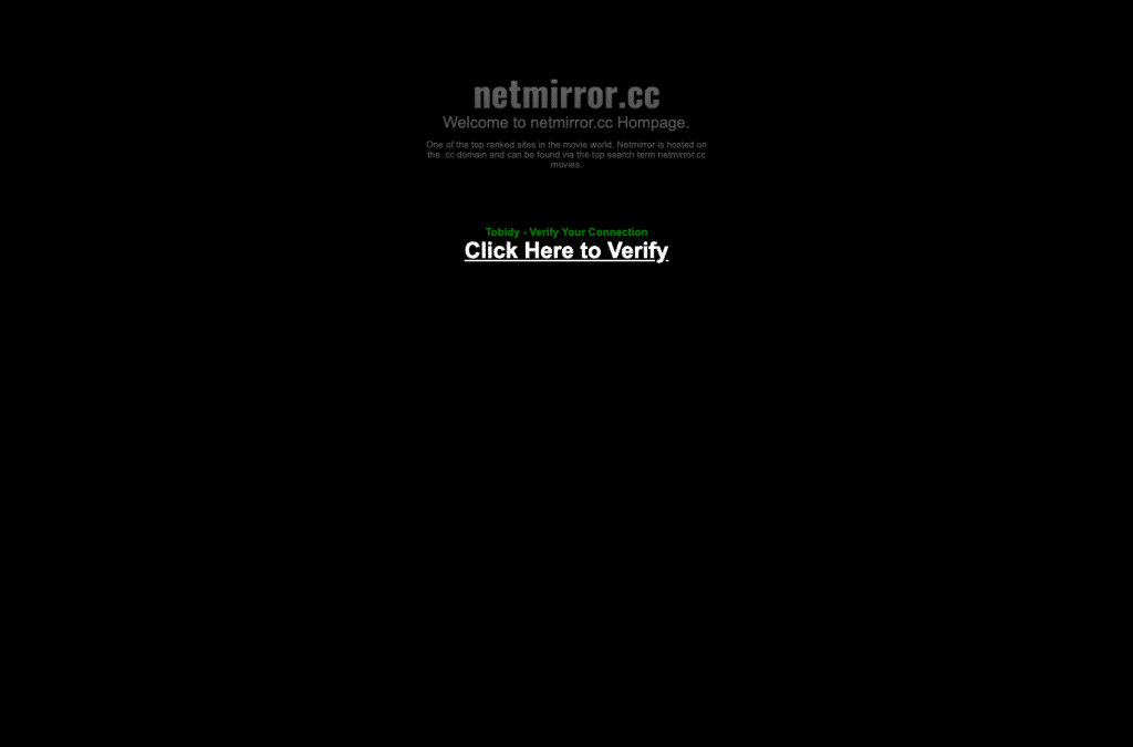 netmirror.cc homepage screenshot