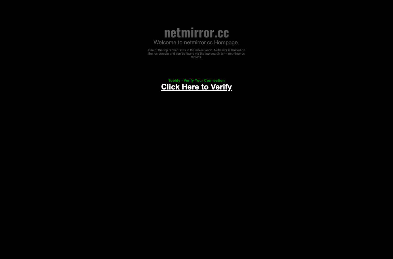 Screenshot preview of netmirror.cc
