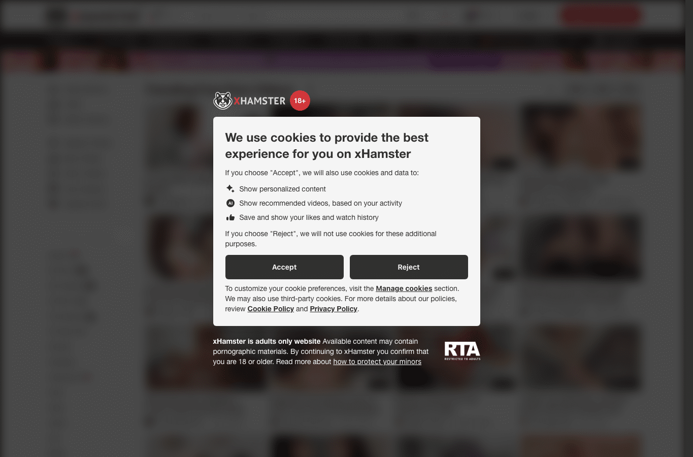 Screenshot preview of xhamster19.com