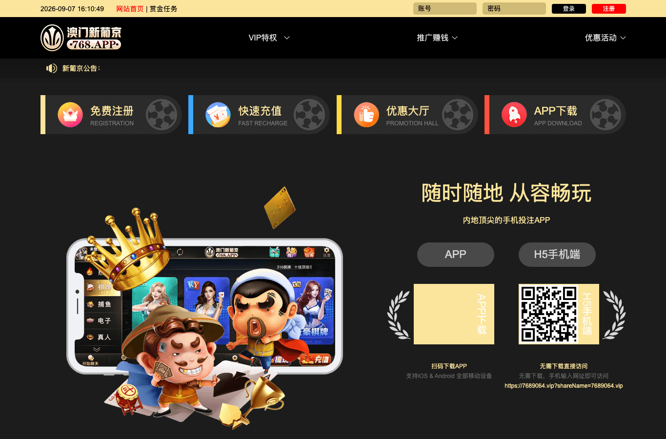 Screenshot preview of 7689064.vip