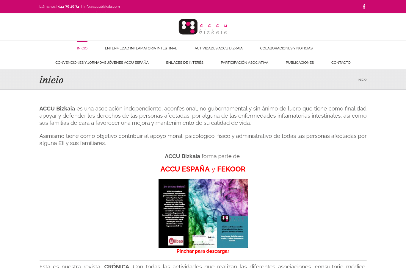 Screenshot preview of accubizkaia.com