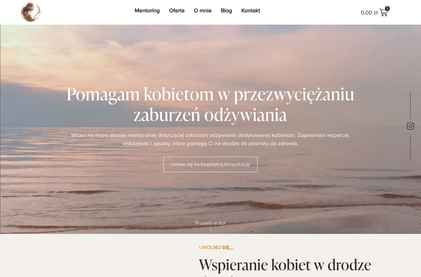 Screenshot preview of agnieszkajanczak.pl