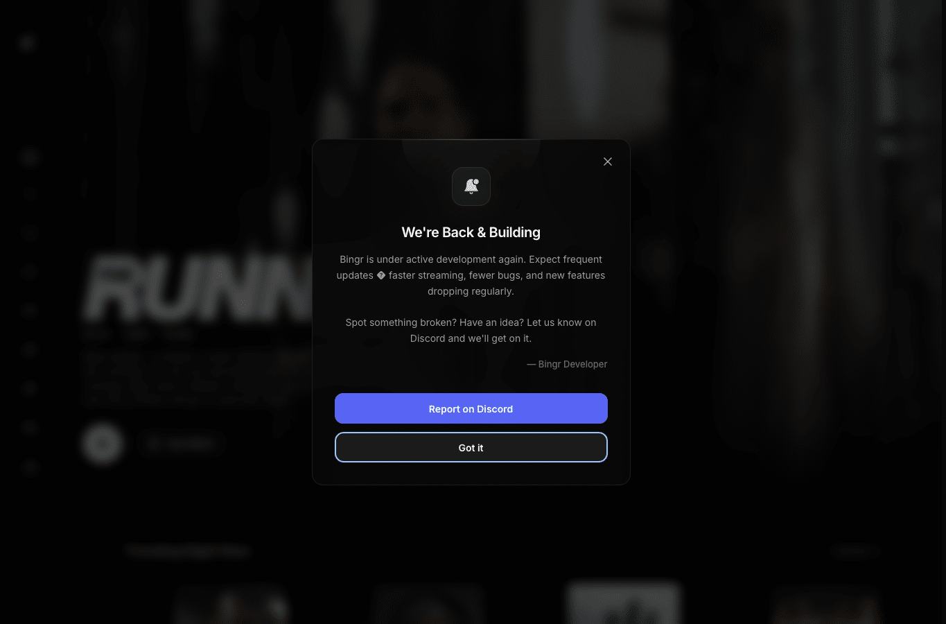 Screenshot preview of bingr.one
