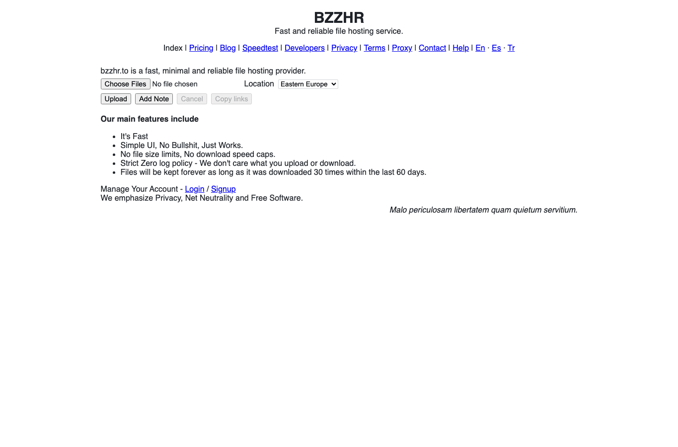 Screenshot preview of bzzhr.to