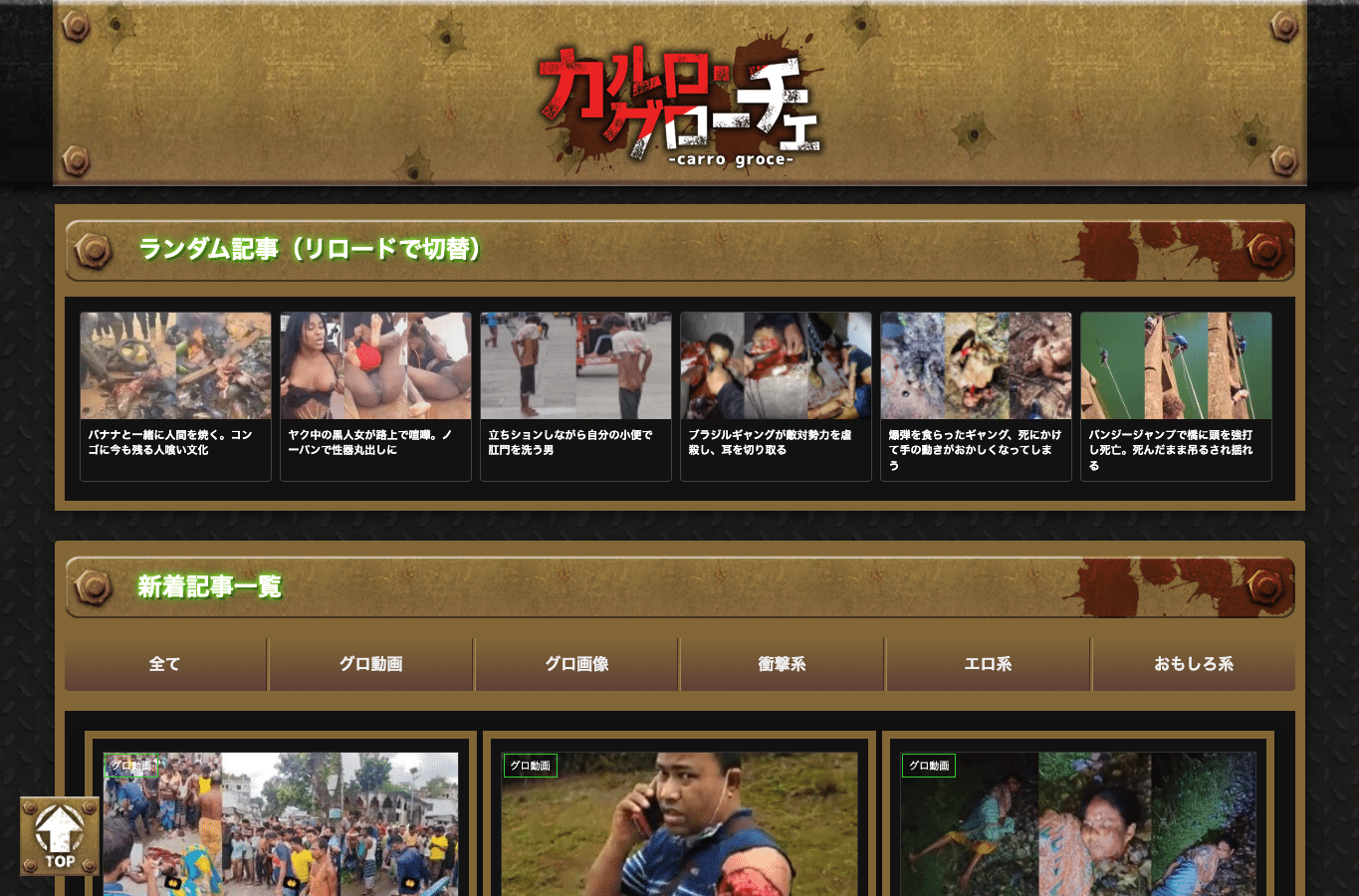 Screenshot preview of carro-groce.com