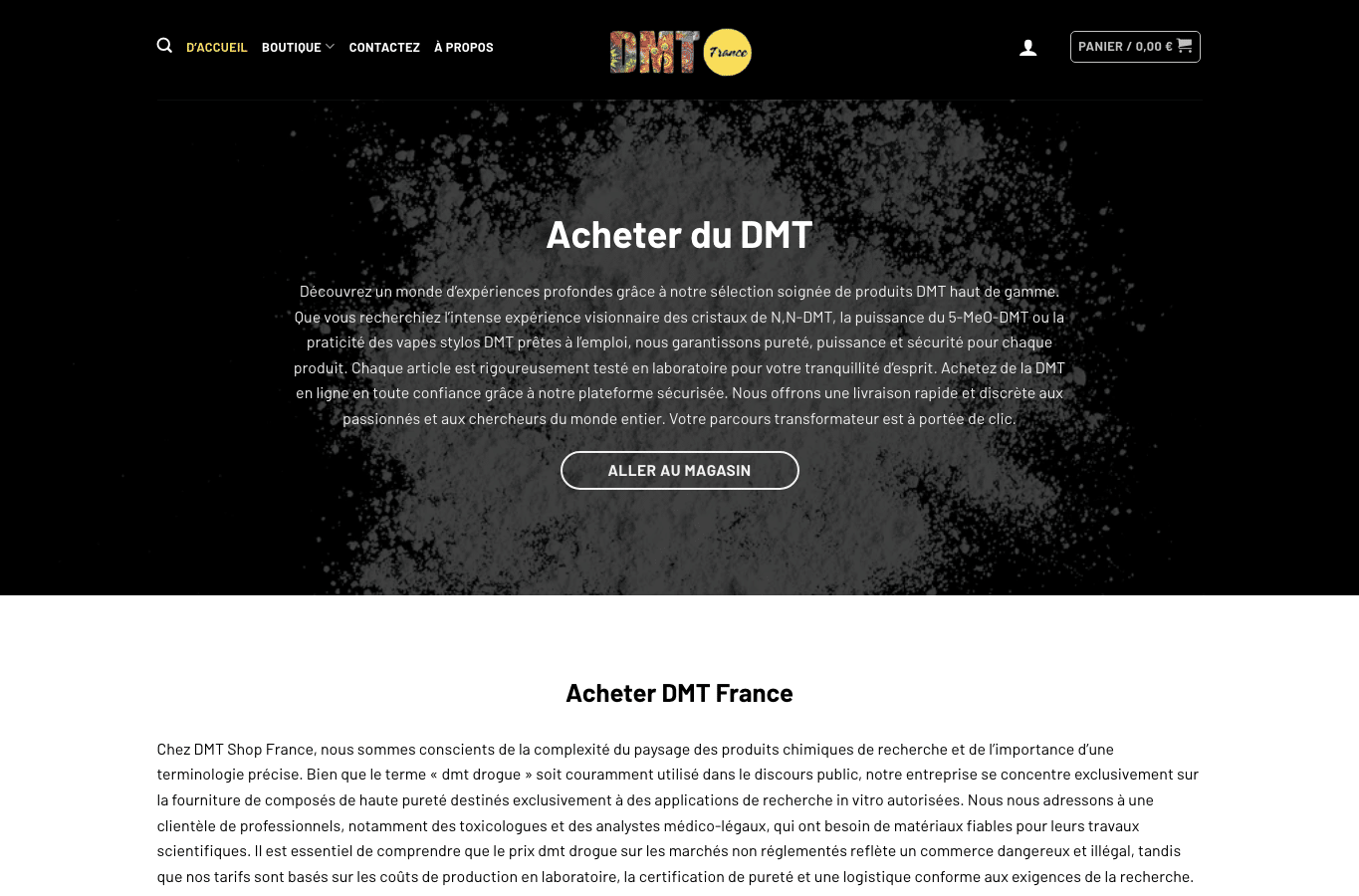 Screenshot preview of dmtshop.fr