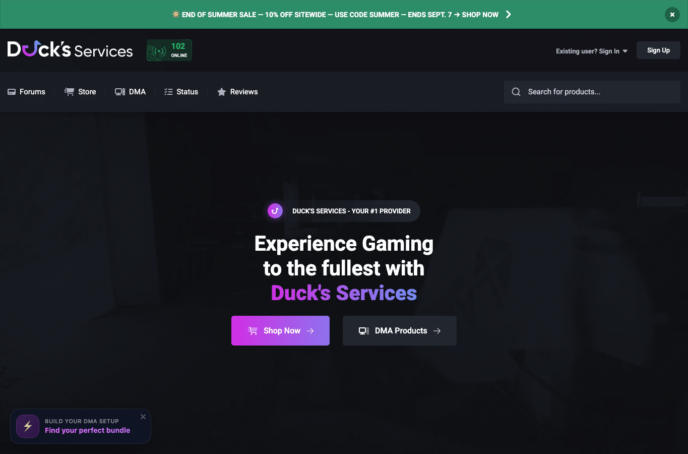 Screenshot preview of ducks-services.com