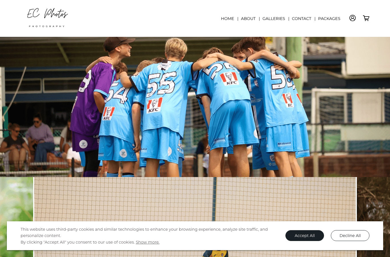 Screenshot preview of ecphotos.com.au