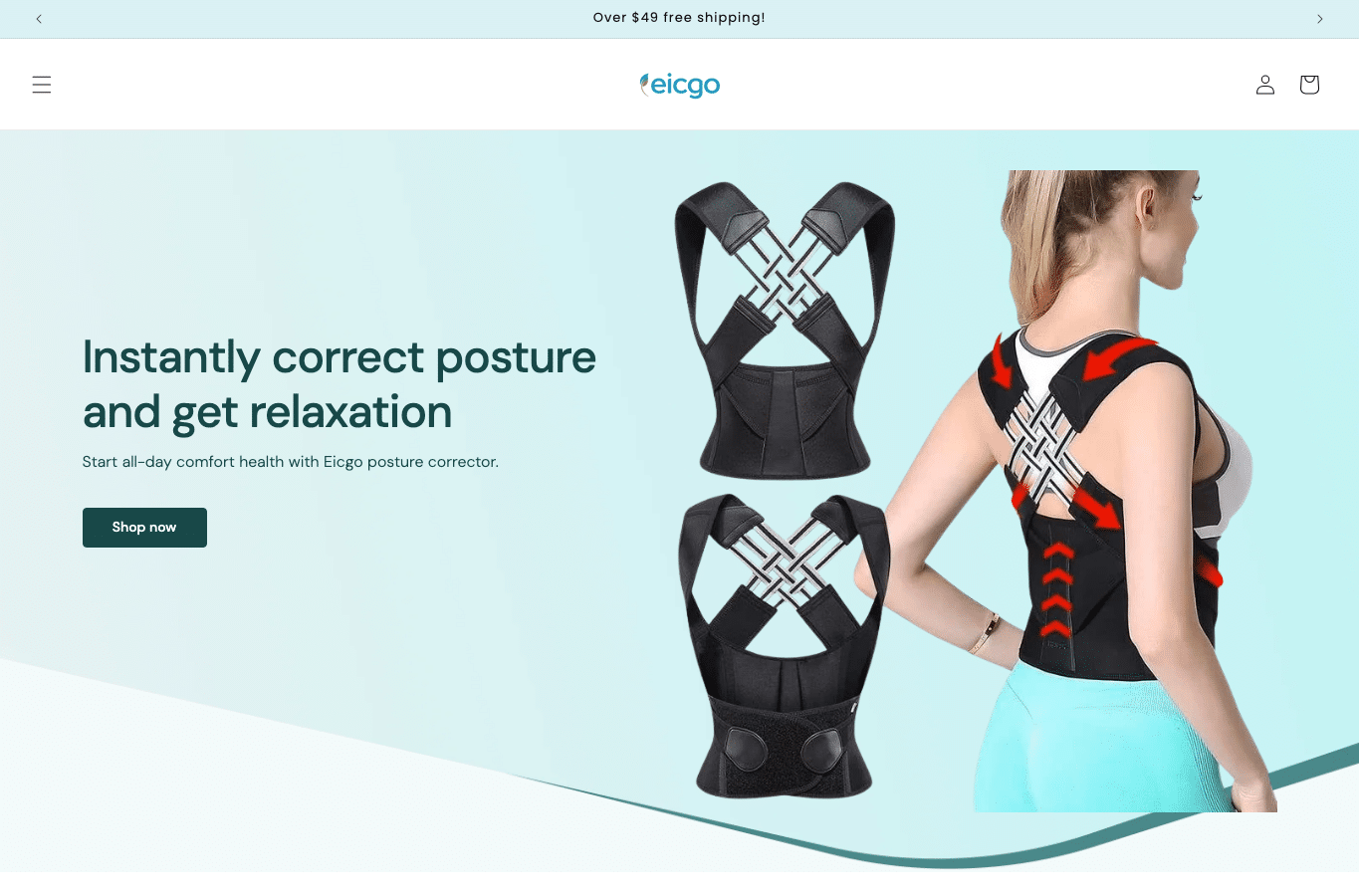 Screenshot preview of eicgo.com