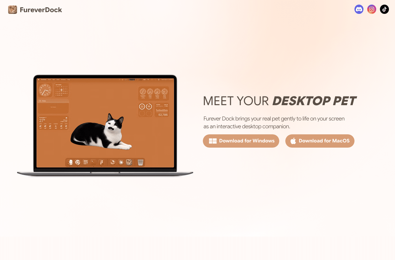 Screenshot preview of fureverdock.com