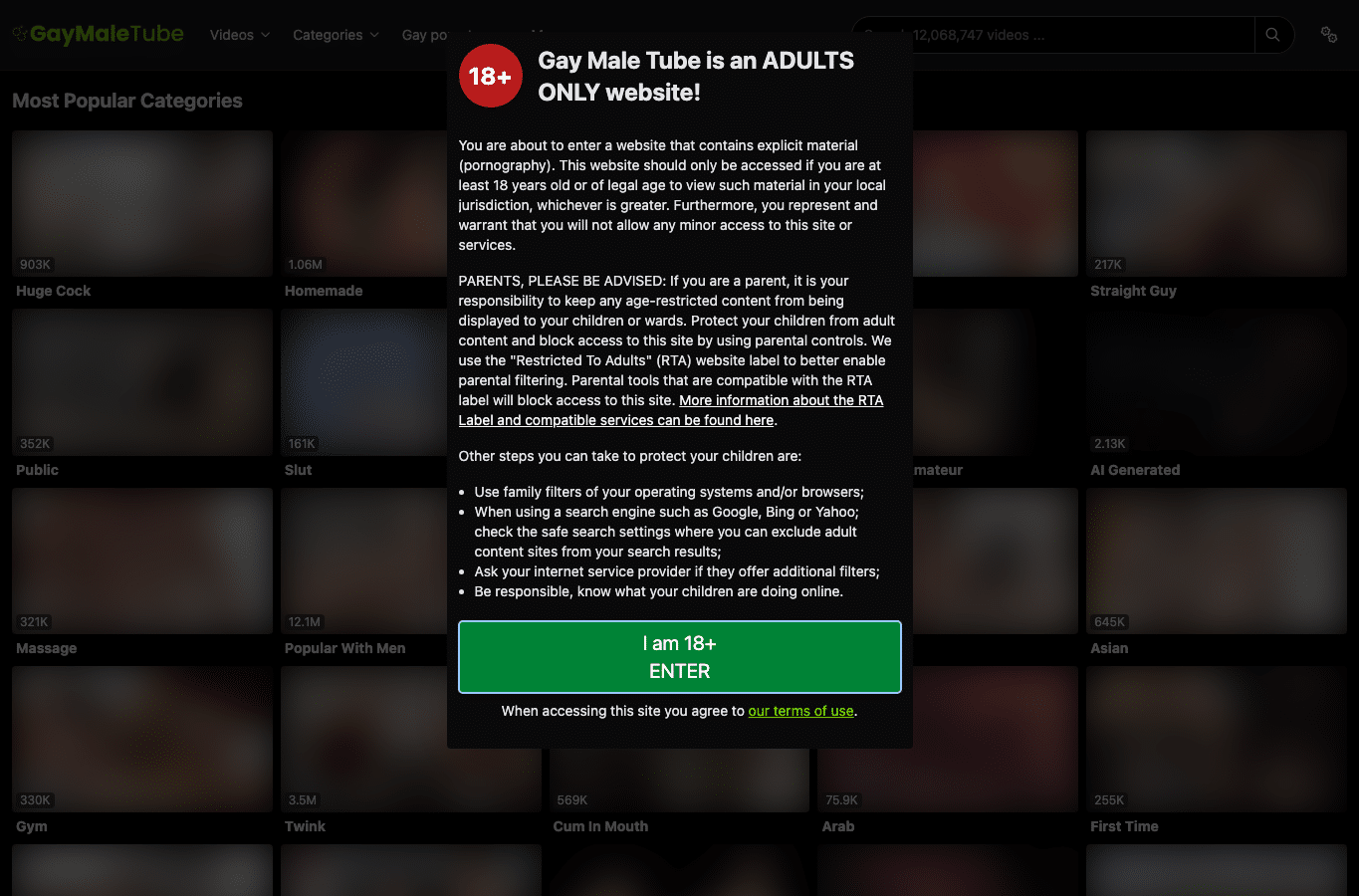 Screenshot preview of gaymaletube.com