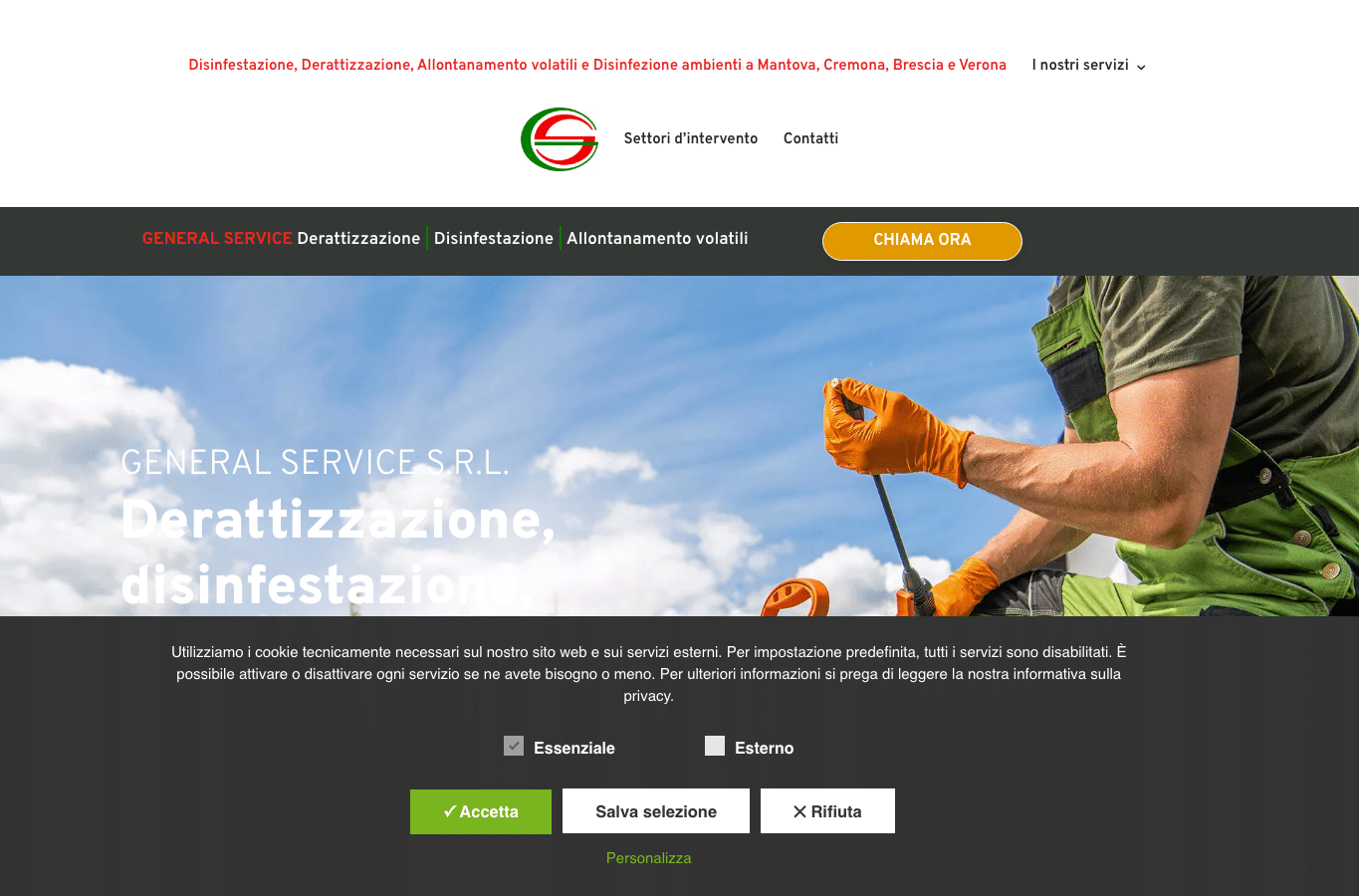 Screenshot preview of gsdisinfestazioni.com