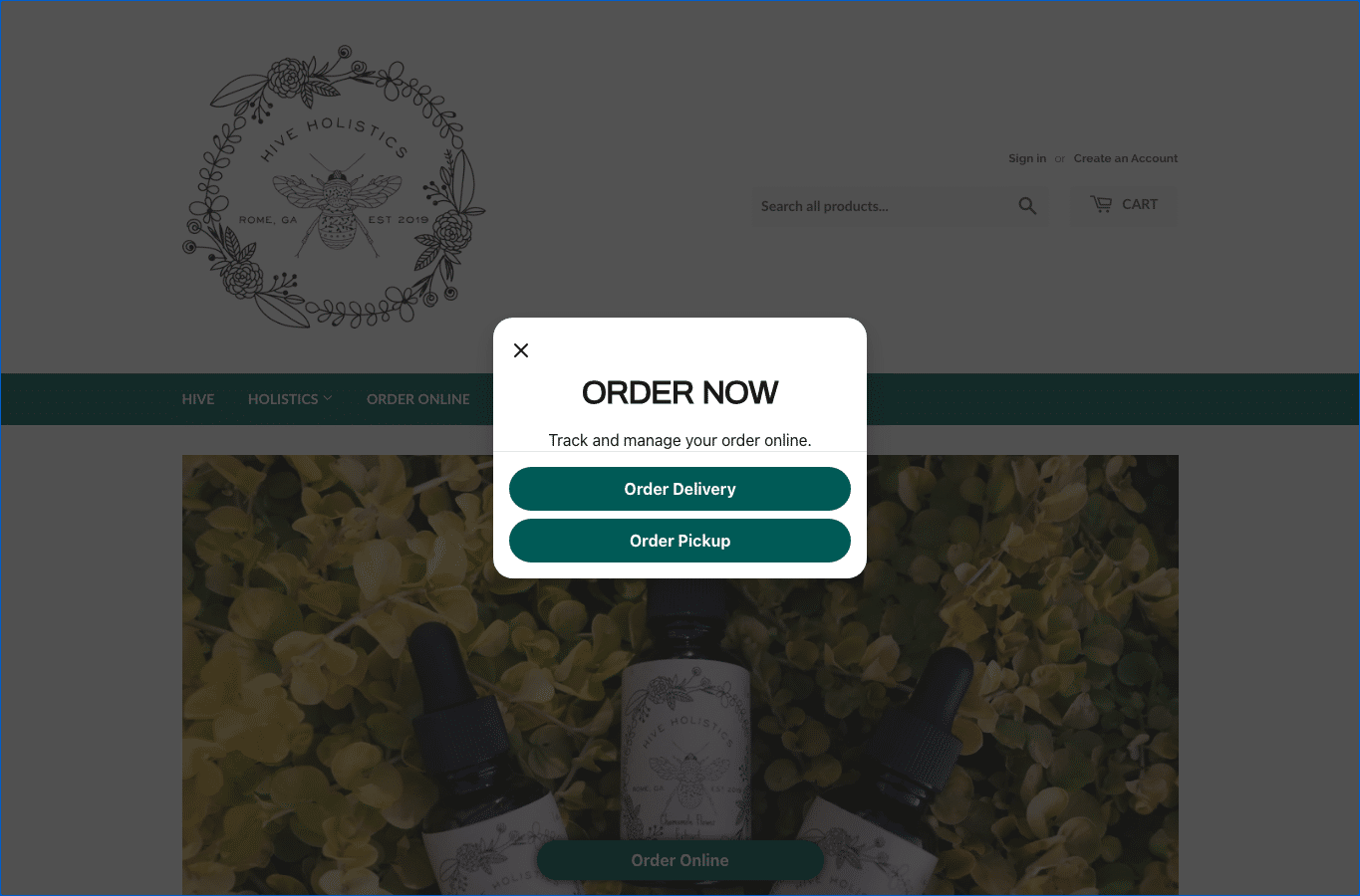 Screenshot preview of hiveholistics.buzz