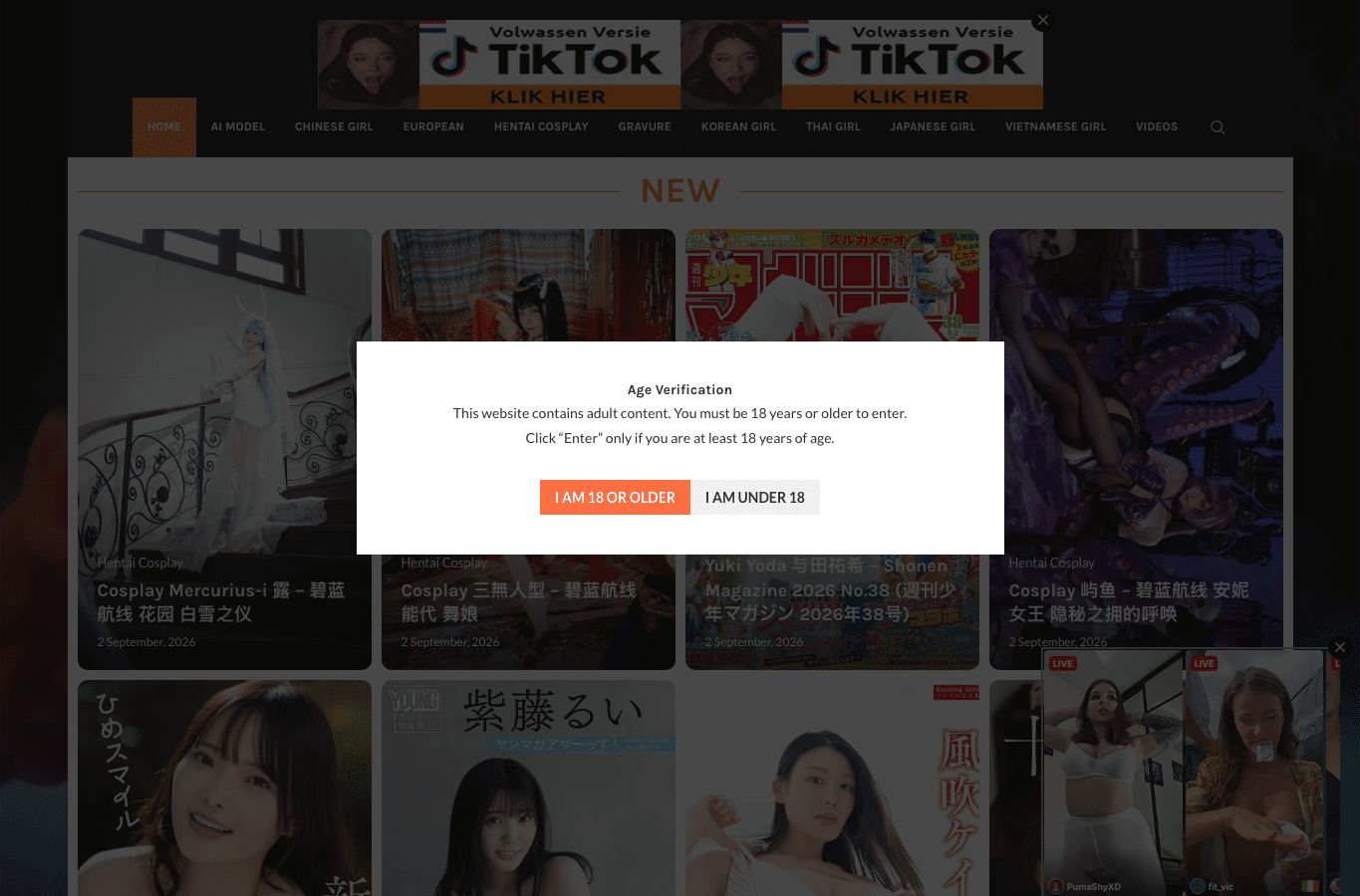 Screenshot preview of imgcup.com