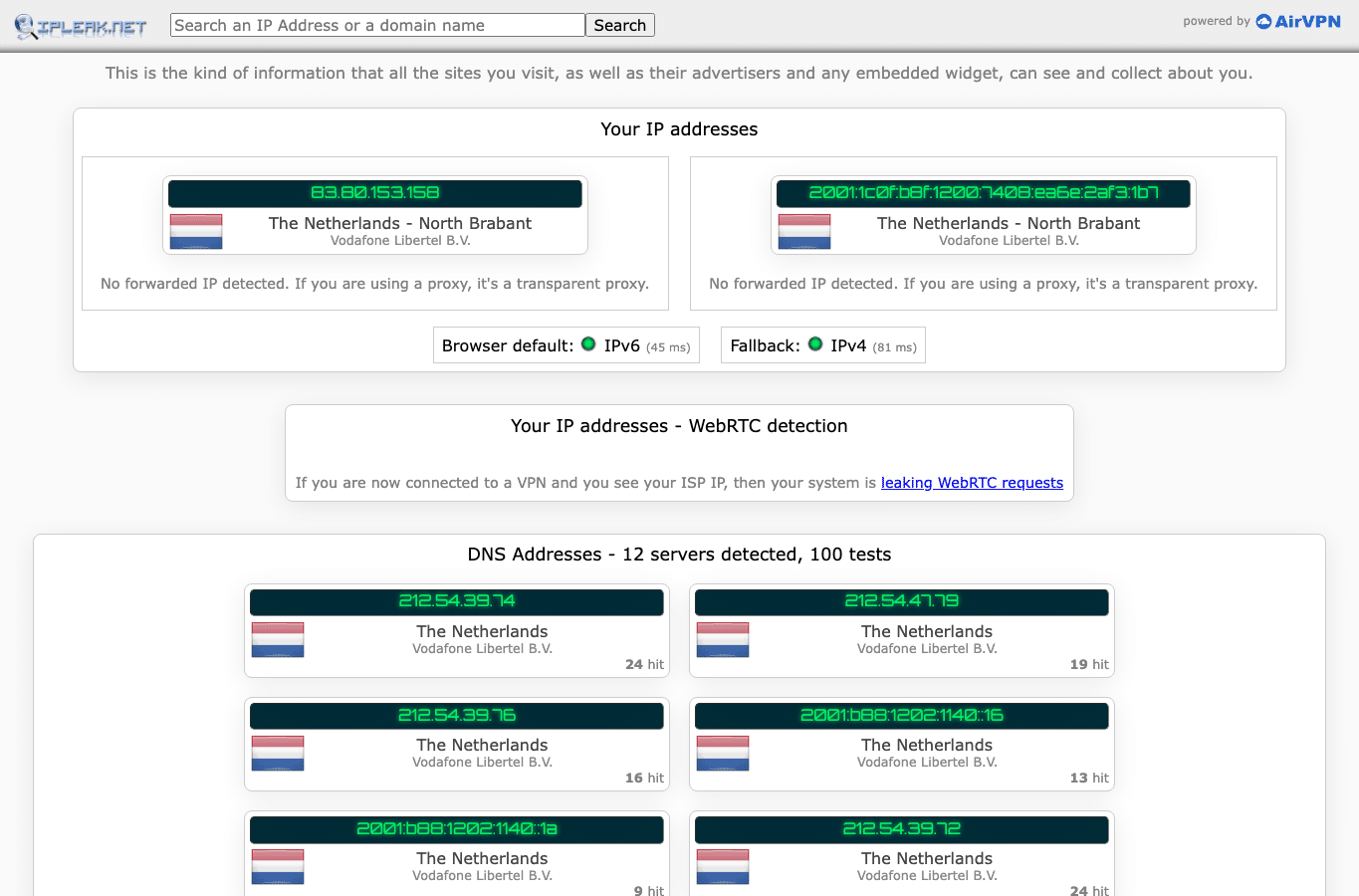 Screenshot preview of ipleak.net