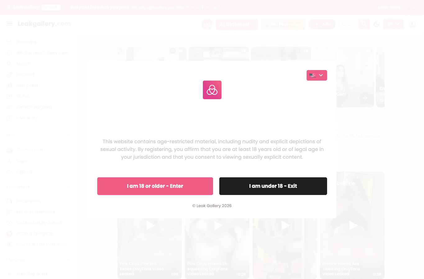 Screenshot preview of leakgallery.com