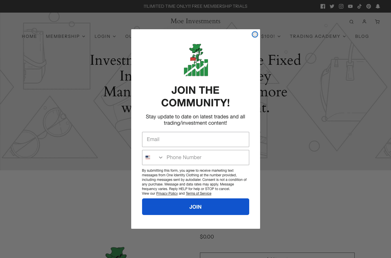 Screenshot preview of moeinvestments.org