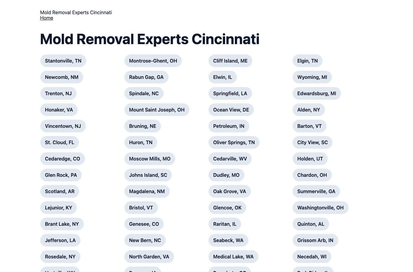Screenshot preview of moldremovalexpertscincinnati.com