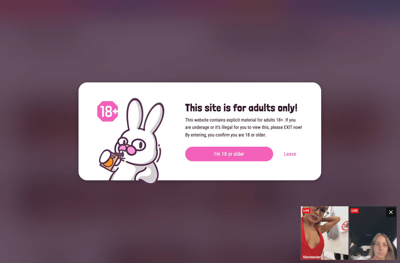Screenshot preview of pimpbunny.com