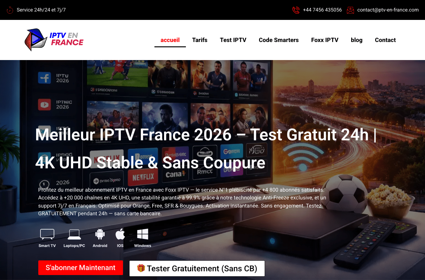 Screenshot preview of ptv-en-france.com
