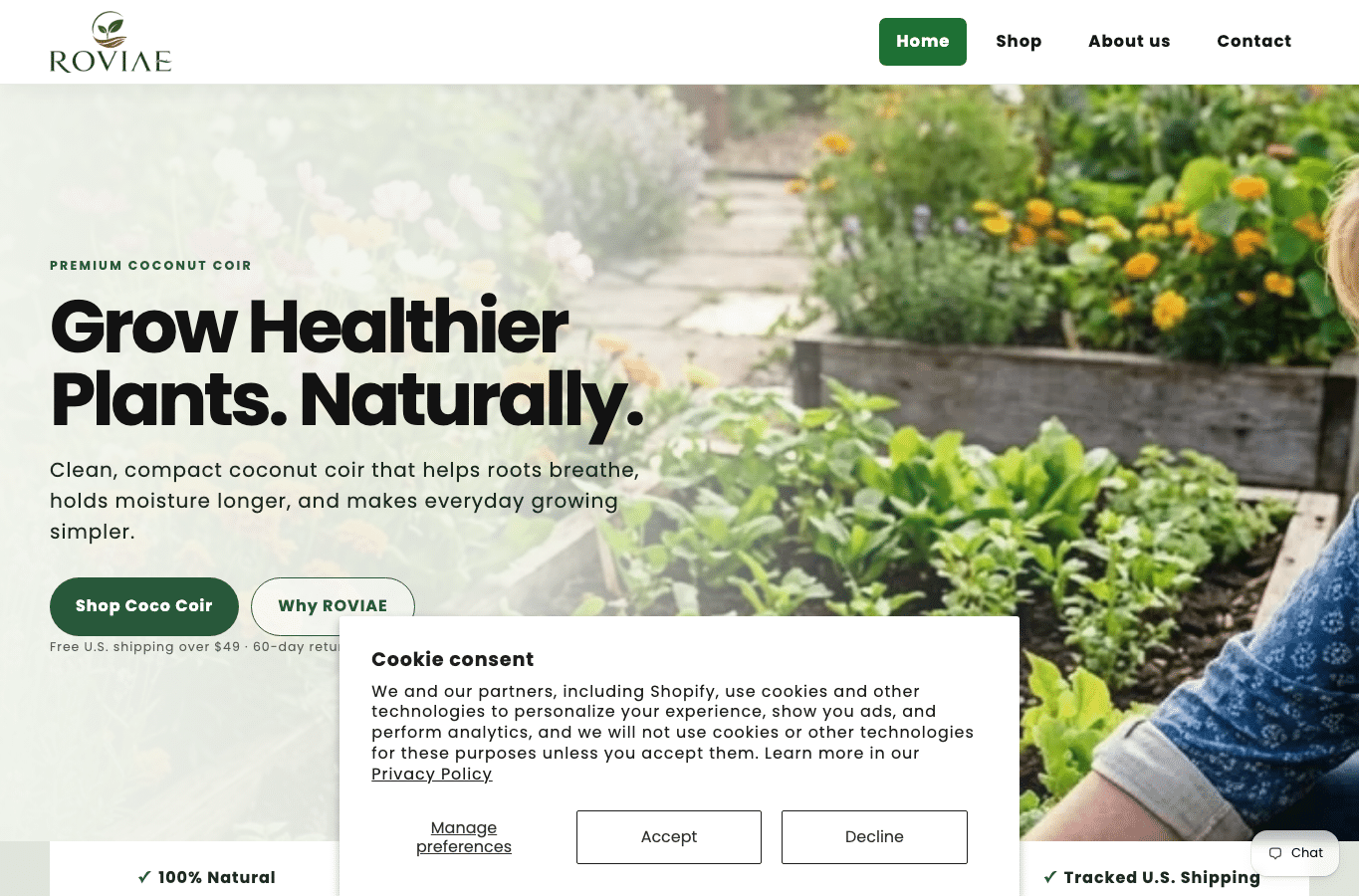 Screenshot preview of roviae.online