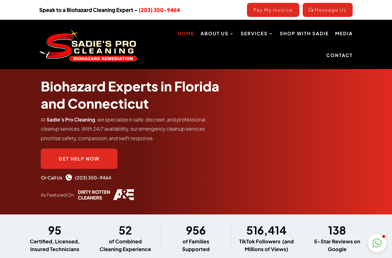 Screenshot preview of sadiesprocleaning.com