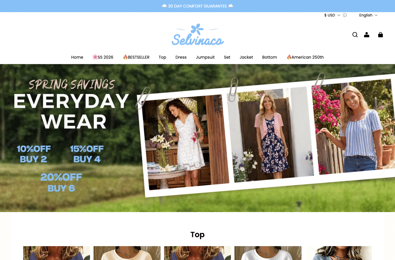 Screenshot preview of selvinaco.com