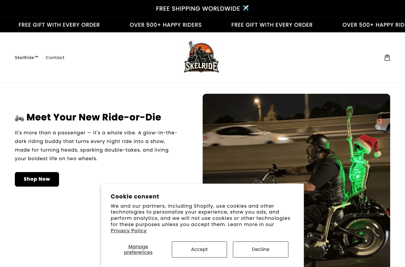 Screenshot preview of skelride.com
