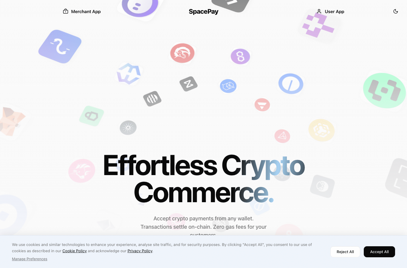 Screenshot preview of spacepay.solutions