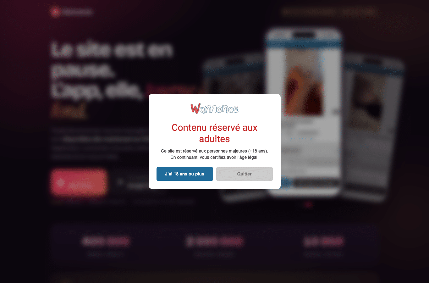 Screenshot preview of wannonce.me