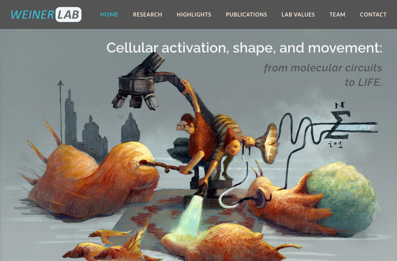 Screenshot preview of weinerlab.com