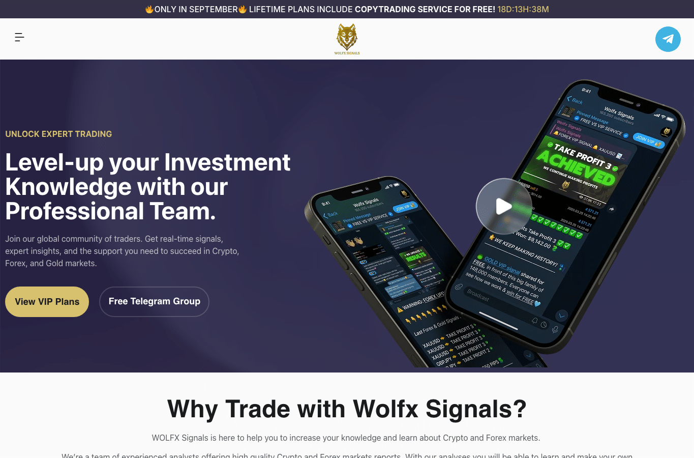 Screenshot preview of wolfxsignals.com
