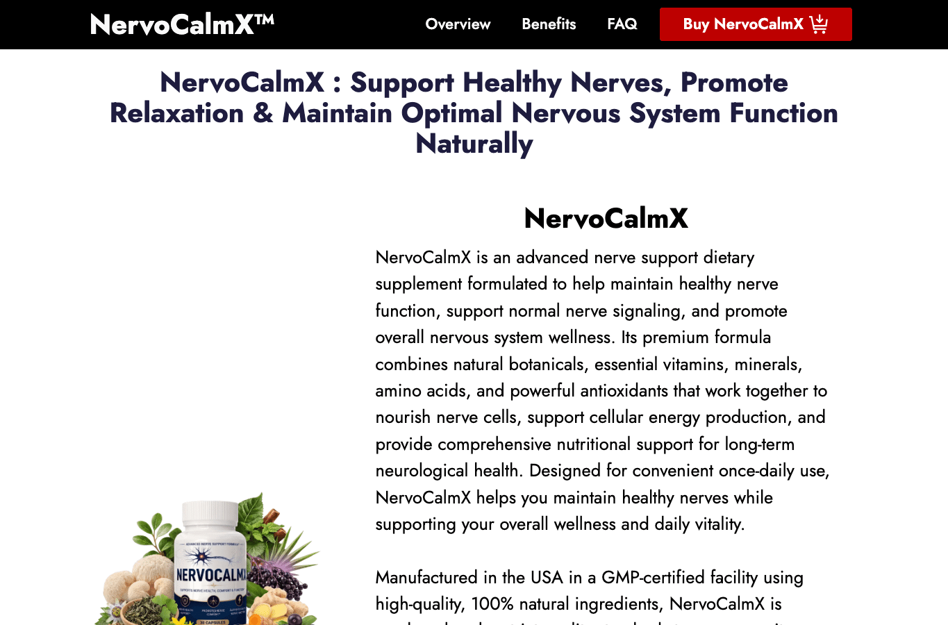 Screenshot preview of www-nervocalmx.com