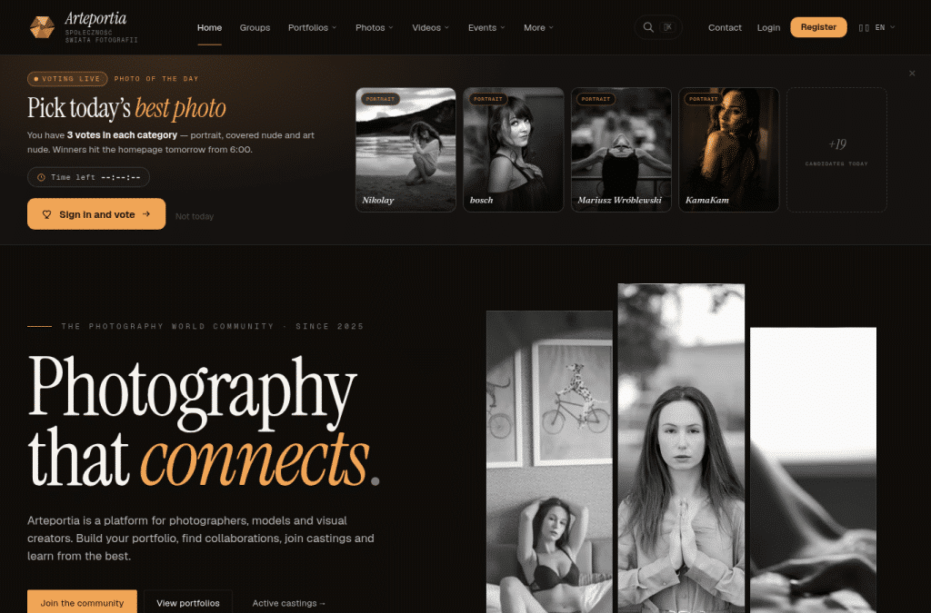 Screenshot preview of arteportia.pl