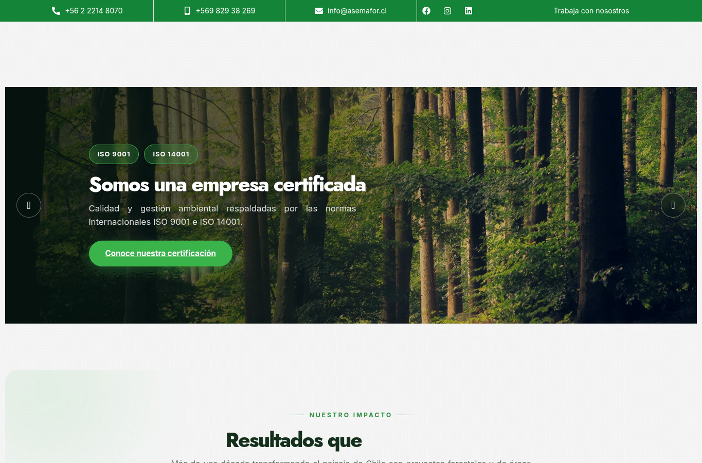 Screenshot preview of asemafor.cl