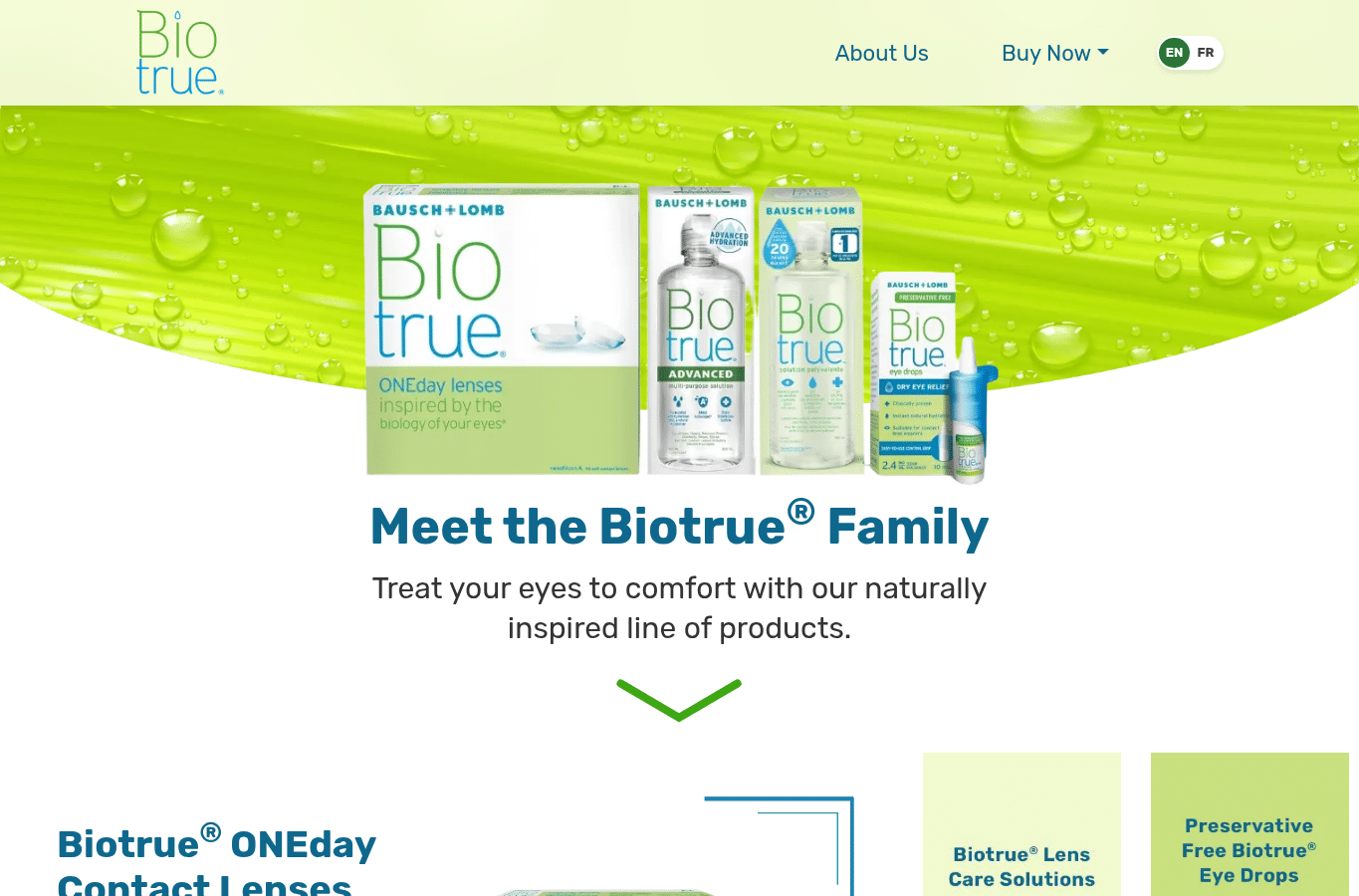 Screenshot preview of biotrue.ca