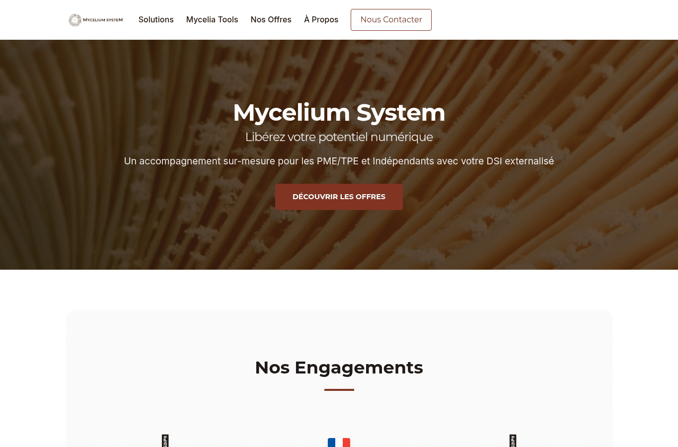 Screenshot preview of myceliumsystem.fr