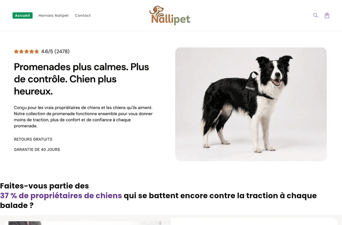 Screenshot preview of nallipet.com
