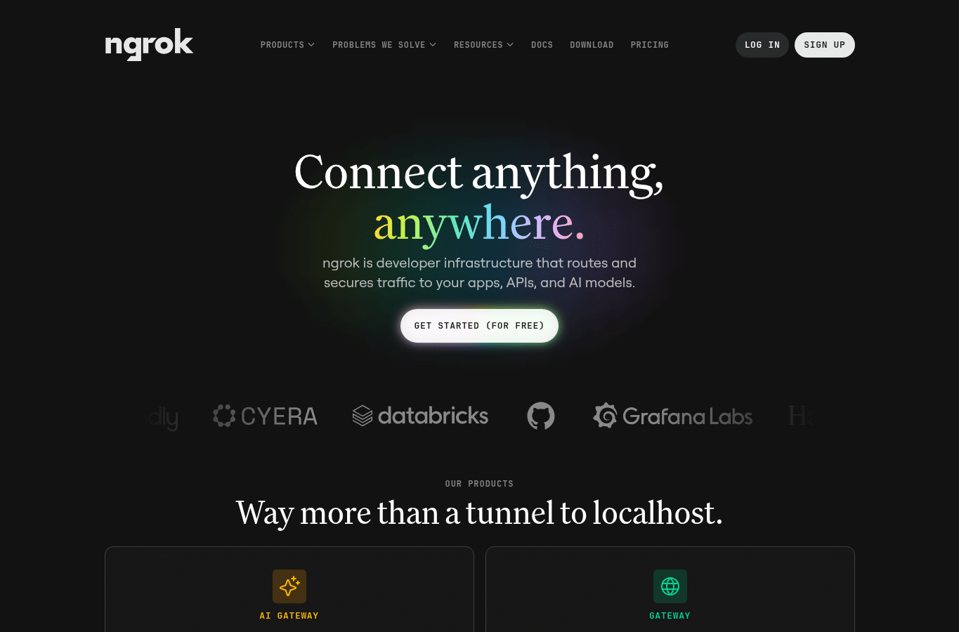 Screenshot preview of ngrok-free.dev
