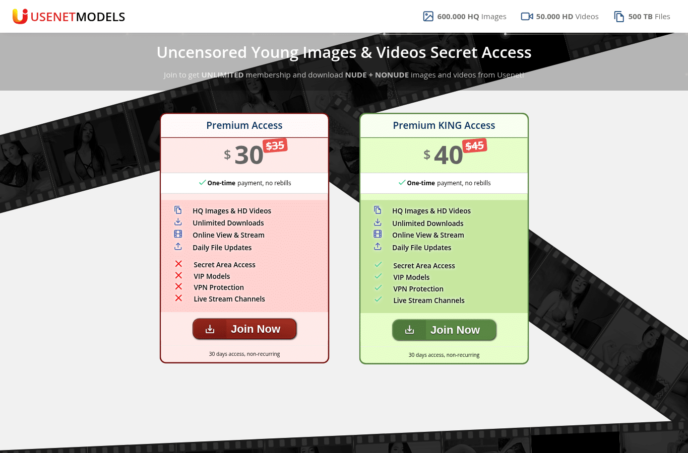 Screenshot preview of secretfans.vip
