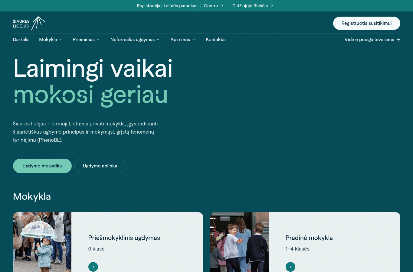 Screenshot preview of siaureslicejus.lt